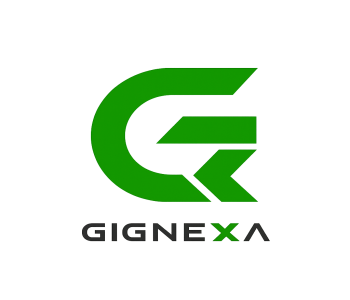 GIG SOFTWARE 